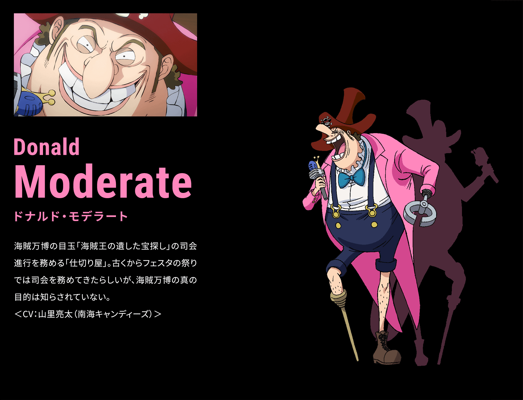 Character キャラクター 劇場版 One Piece Stampede 公式サイト